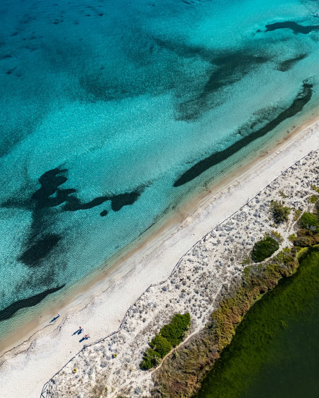 Wonder Creators — portfolio