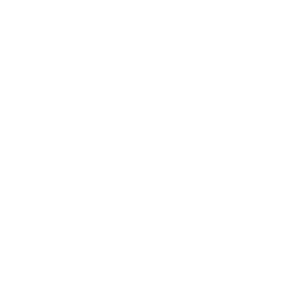 Ambra Day